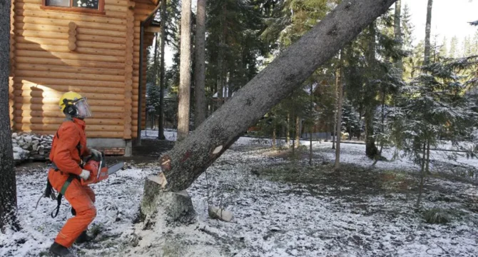 Удаление деревьев целиком